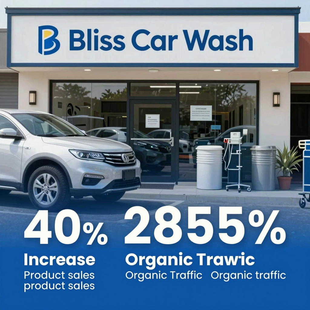 Bliss Car Wash Success Infographic