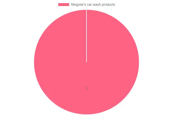 Business Owner Using Meguiar's Car Wash Products