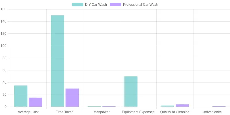 DIY vs Professional Car Wash
